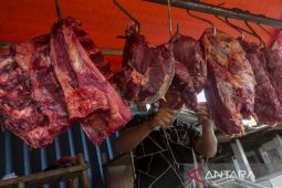 Rencana impor daging kerbau
