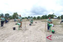 BPDAS Cerucuk maksimalkan penanaman kayu putih pulihkan fungsi hutan dan lahan