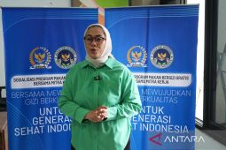 Komisi IX DPR sebut program Makan Bergizi Gratis kurangi stunting