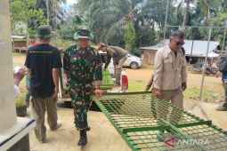 BKSDA siagakan dua perangkap harimau di Mukomuko