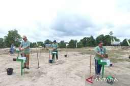 Babel tanam kayu putih pulihkan fungsi hutan dan lahan