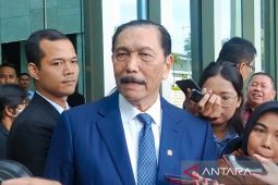 Luhut sebut UEA bakal investasi 10 miliar dolar ke Danantara