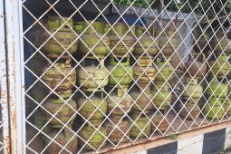 Hiswana Migas Depok pastikan ketersediaan elpiji 3 kg cukup