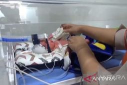 Bayi kembar empat lahir di Batanghari