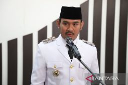 Kader PDIP Jawa Barat masih tunggu instruksi lanjutan Megawati Soekarnoputri
