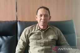 BKSDA Kaltim  selamatkan 37 orangutan hingga Februari 2025