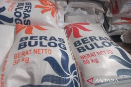 Bulog Sumut jamin stok beras cukup jelang  Ramadhan