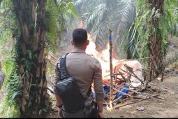 Polisi Bungo Jambi tertibkan tambang emas tanpa izin