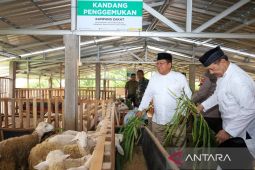Baznas berdayakan mustahik di Jepara melalui program Balai Ternak
