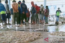 DPRD Karawang minta Dinas Perikanan tingkatkan pendapatan dari TPI