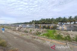 Optimisme sebidang tambak udang di Bumi Celebes