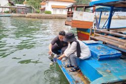 Mikroplastik ditemukan pada sampel dari tiga pulau di Kepulauan Seribu Jakarta