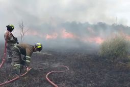 Damkar Tanjung Uban padamkan kebakaran lahan seluas lima hektare
