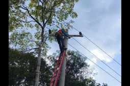 PLN Ketapang Siapkan Listrik Terbaik, Ramadhan Lebih Nyaman