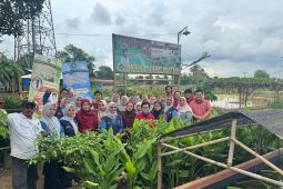 FFUP sinergikan ketahanan pangan berbasis herbal Desa Putat Nutug, Ciseeng, Bogor
