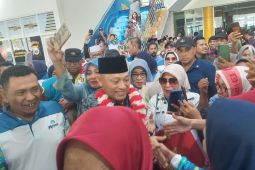 Tiba di Ternate Wagub Malut Sarbin Sehe  disambut meriah  pendukungnya