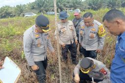 Polres Kubu Raya memanfaatkan 300 hektare lahan untuk produksi Jagung