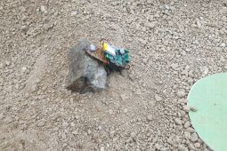 Undip bikin robot hybrid serangga tangani bencana