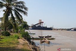 Pemkot Palembang galakkan  penebaran benih ikan di Sungai Musi
