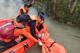 Truk jatuh ke sungai di Pelalawan, 15 orang meninggal
