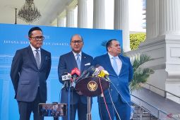 "Danantara effect", transformasi atau mimpi ekonomi megaholding BUMN