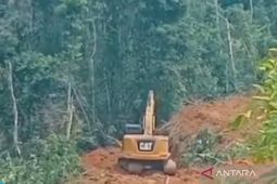 Rp10 juta per tahun, strategi KPH Mukomuko hadapi perambahan hutan