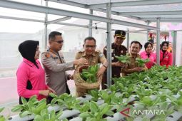 Polres Bangka Barat bersama Forkopimda panen jagung