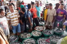 Musim tangkap membaik, penjualan ikan di TPI Kurau Timur naik
