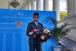 Ini struktur Danantara dipimpin Rosan, dibantu Pandu Sjahrir dan Dony Oskaria