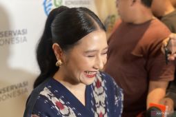 Prilly Latuconsina cerita kejar lumba-lumba di Kaimana