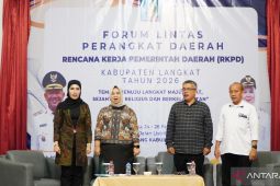 RKPD Langkat mempertajam kebijakan daerah
