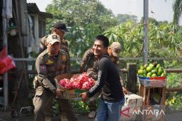 Bupati Bogor komandoi penertiban bangli di Cilebut hingga Bojonggede