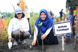 Peringati HPSN 2025, Pemkot Probolinggo tanam ratusan mangrove