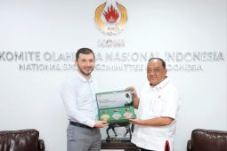 Potensi MMA di Indonesia sangat besar, ini syaratnya