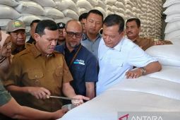 Wagub pastikan harga sembako d Aceh stabil jelang Ramadhan