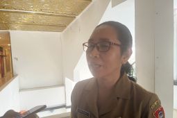Pemkot Ambon alokasi 20 persen dana desa untuk ketahanan pangan, begini kata Kadis DP3AMD