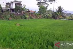 Teknologi tepat guna dongkrak produksi pertanian di Sukabumi