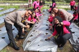 Bhayangkari Halmahera tanam bibit hortikultura