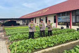 Polda Sumut berkontribusi program P2L wujud ketahanan pangan