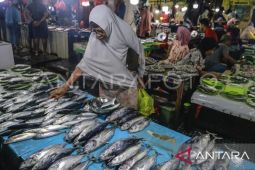 Akademisi teknologi hasil perikanan Unpatti sebut modifikasi hasil laut sejahterakan nelayan Maluku