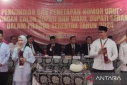 Zakiyah-Najib disebut siap hadapi PSU Pilkada Kabupaten Serang