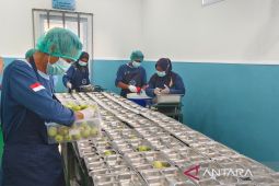 Pemerintah sepakat wadah "tray" untuk MBG tidak boleh diimpor