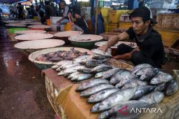 Ketersediaan ikan selama Ramadhan