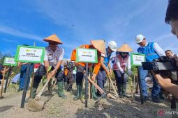 Kansar Pangkalpinang gelar penanaman mangrove peringati HUT ke-53 Basarnas