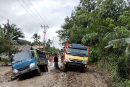 Bupati Tanjabtim perintahkan dinas gabungan urai kemacetan