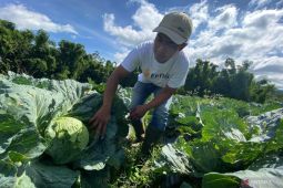 Garut gelorakan program GEC untuk melahirkan petani muda