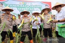 Polda Kalsel panen 10 ton jagung
