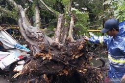 Ngeri! kemarin hujan dan angin kencang porak-porandakan Bandung, ini titik rawannya!