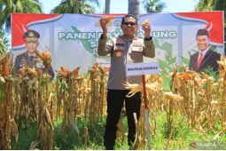 Wakapolda Gorontalo: Sinergi Polri dan petani untuk swasembada pangan