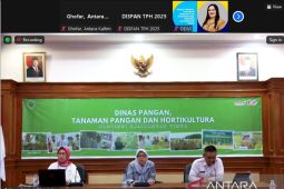 Produksi hortikultura Kaltim fluktuatif dalam tiga tahun